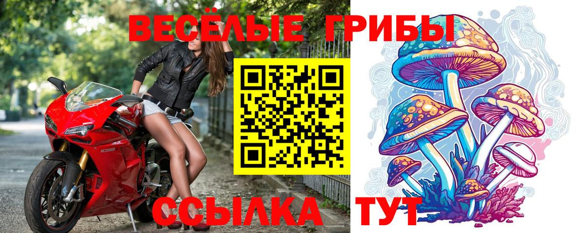 Галлюциногенные грибы мухоморы  купить закладку  Зеленогорск  Вход с VPN 