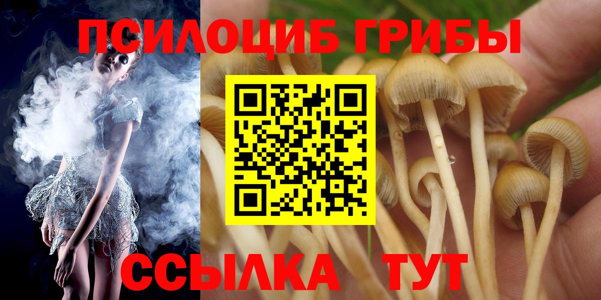 Галлюциногенные грибы мицелий Зеленогорск